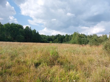 Prywatna wycieczka z przewodnikiem po Bolimowskim Parku Krajobrazowym z finału WOŚP 2025, 